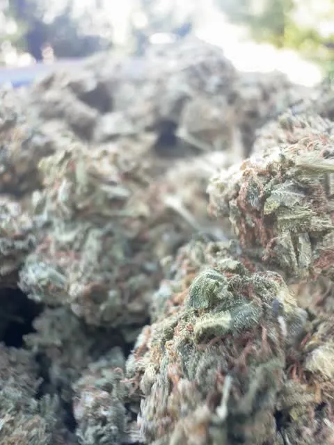 Blueberry Mojito — Flower, Divine Toke Detroit, thumbnail 5